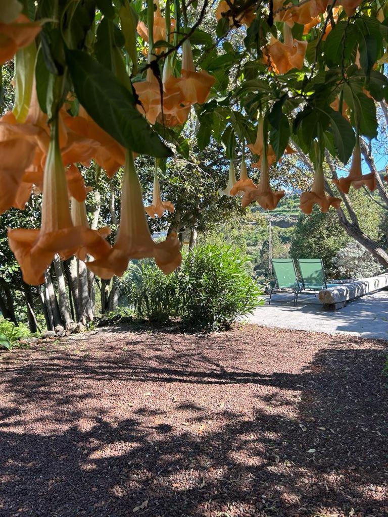 La Casita Del Lagar Villa Cerrogordo Екстериор снимка